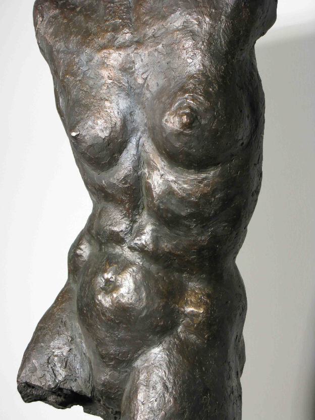 weiblicher Torso